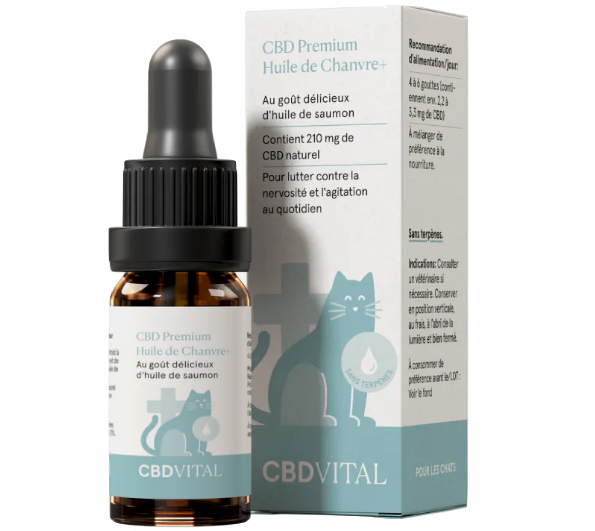 cbd chat cbd vital