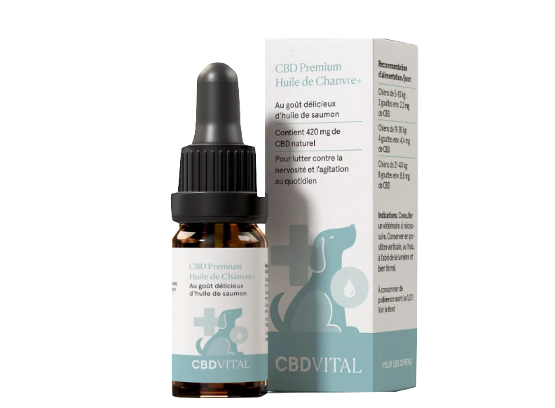 Huile de CBD pour chiens - CBD Vital