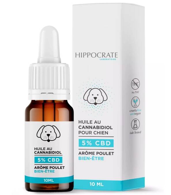 huile cbd chien la.ferme.du.cbd