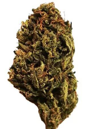 La fleur de CBD Cookie Kush Outdoor 14% LFDCBD