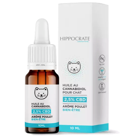 cbd chat lfdcbd