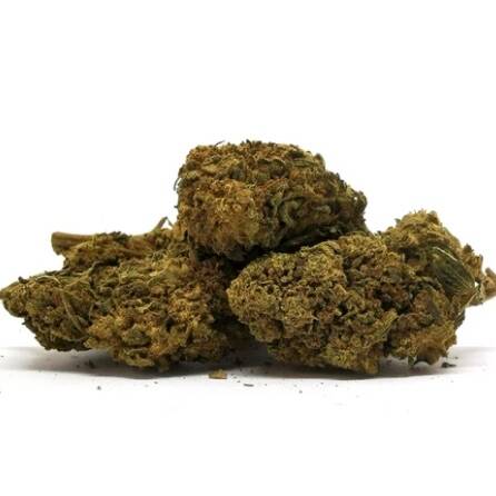 Fleurs de CBD Amnesia Mama Kana