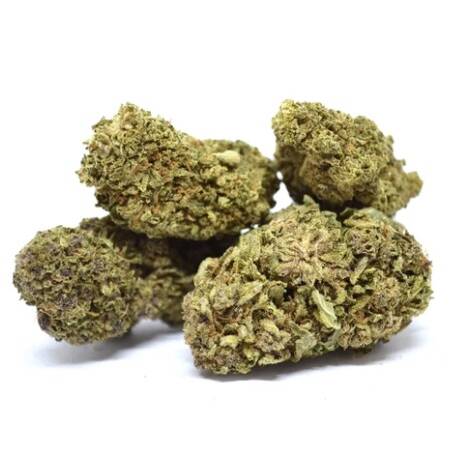 Fleur de CBD Jack Herer Mama Kana