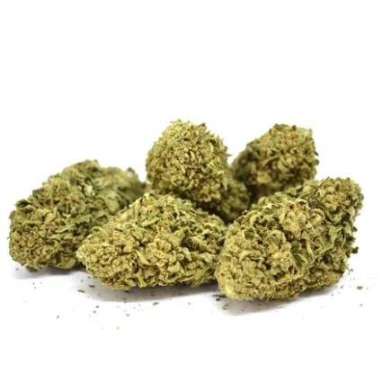 Fleurs de CBD Orange Bud Mama Kana
