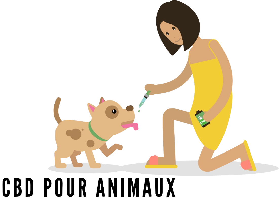 CBD pour les animaux