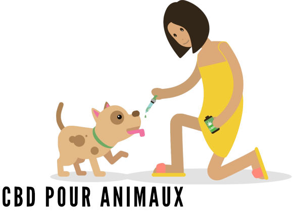 CBD pour les animaux