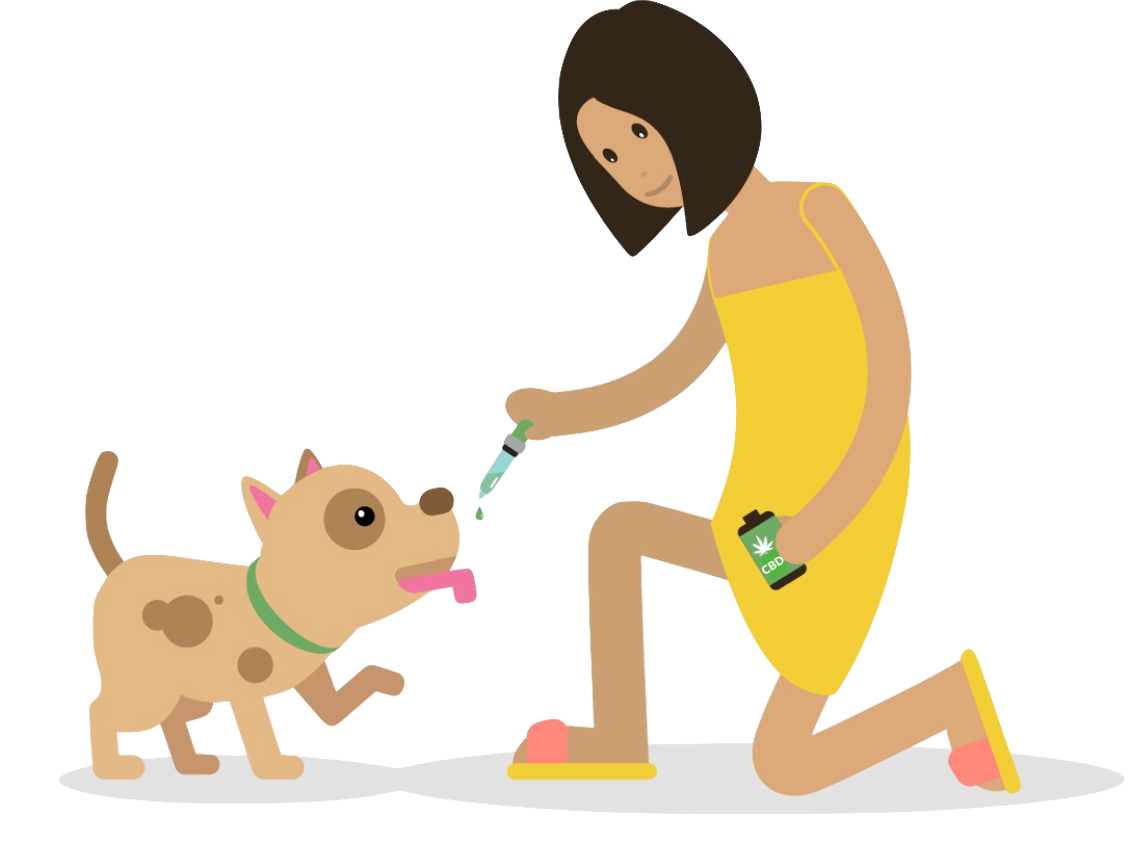 CBD Chien