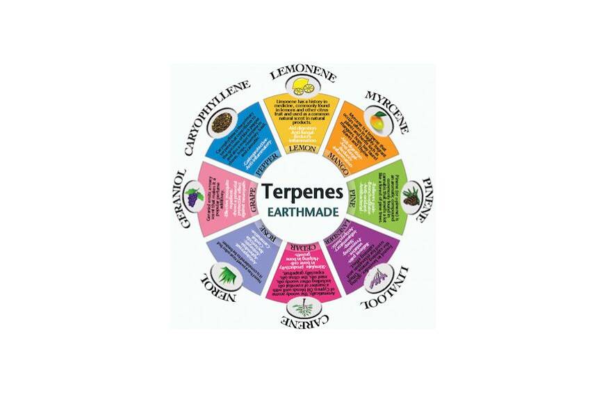 terpenes