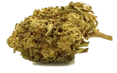 Fleur de CBD green owl