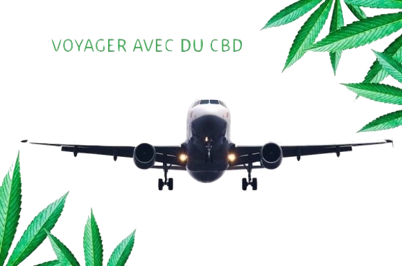 Voyager avec du CBD