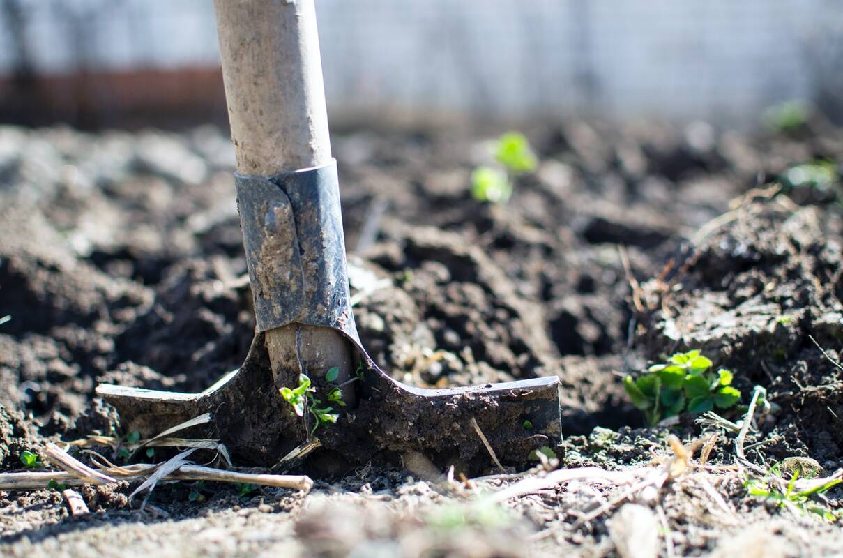 Agriculteur CBD 2023