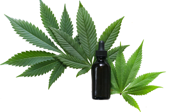 Le cannabis contre l'arthrite aux US