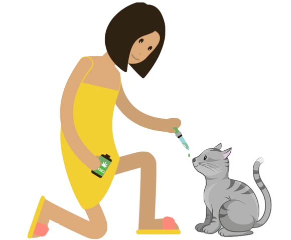 Chat CBD
