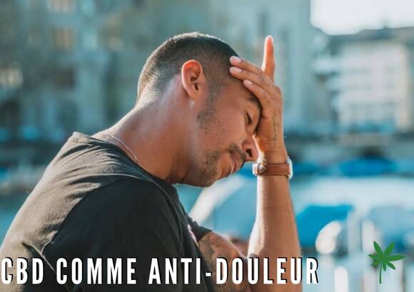CBD contre la douleur