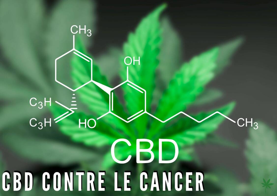 CBD contre le cancer