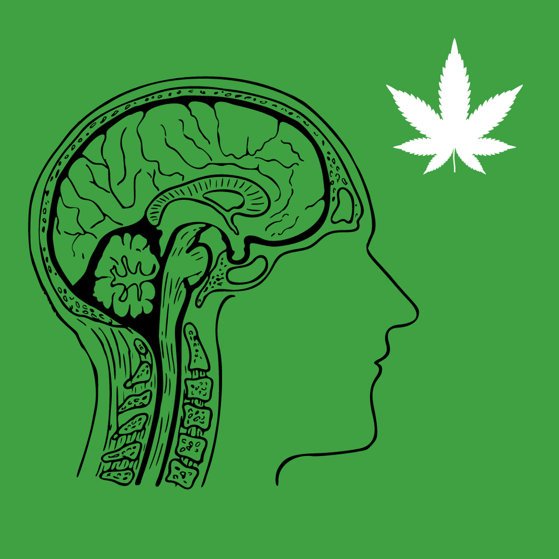 cbd-cerveau-effets