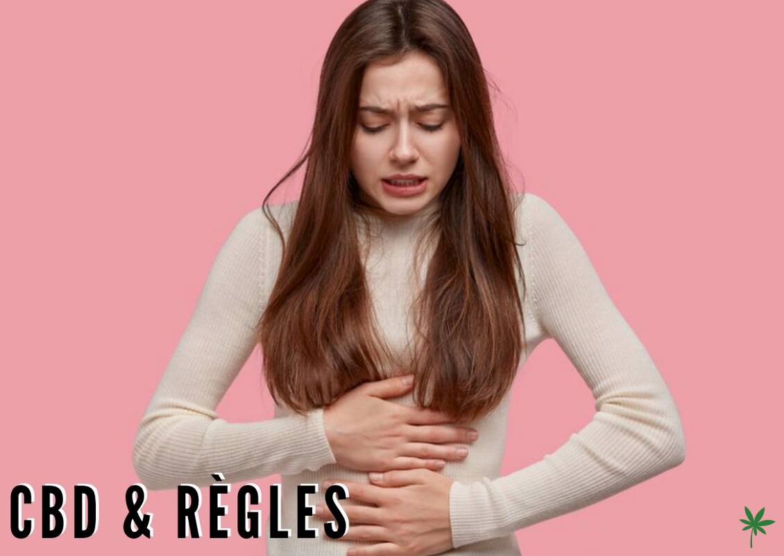 cbd regles