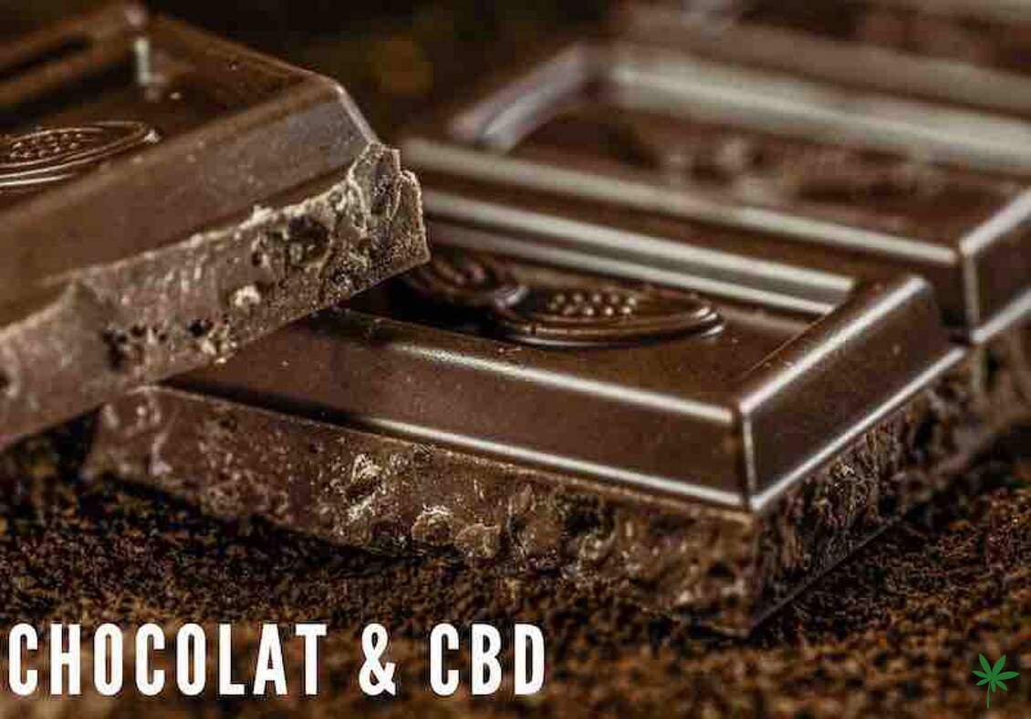 Chocolat CBD