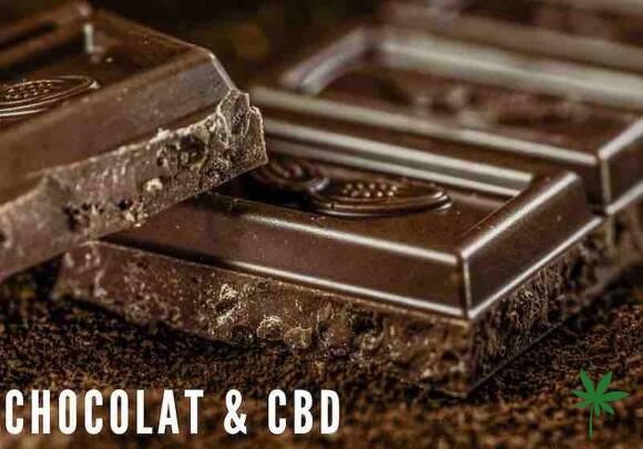 Chocolat au CBD