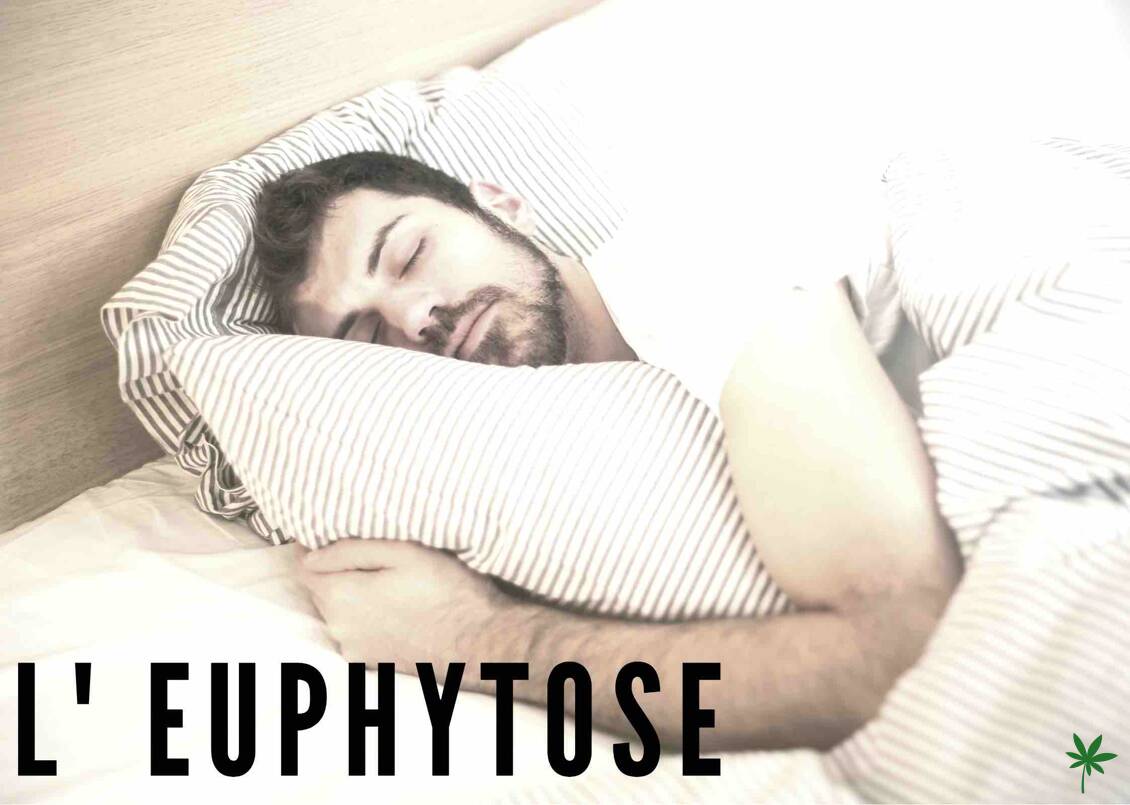 euphytose