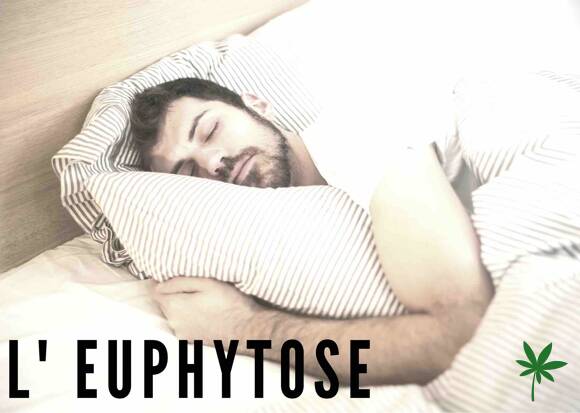 euphytose
