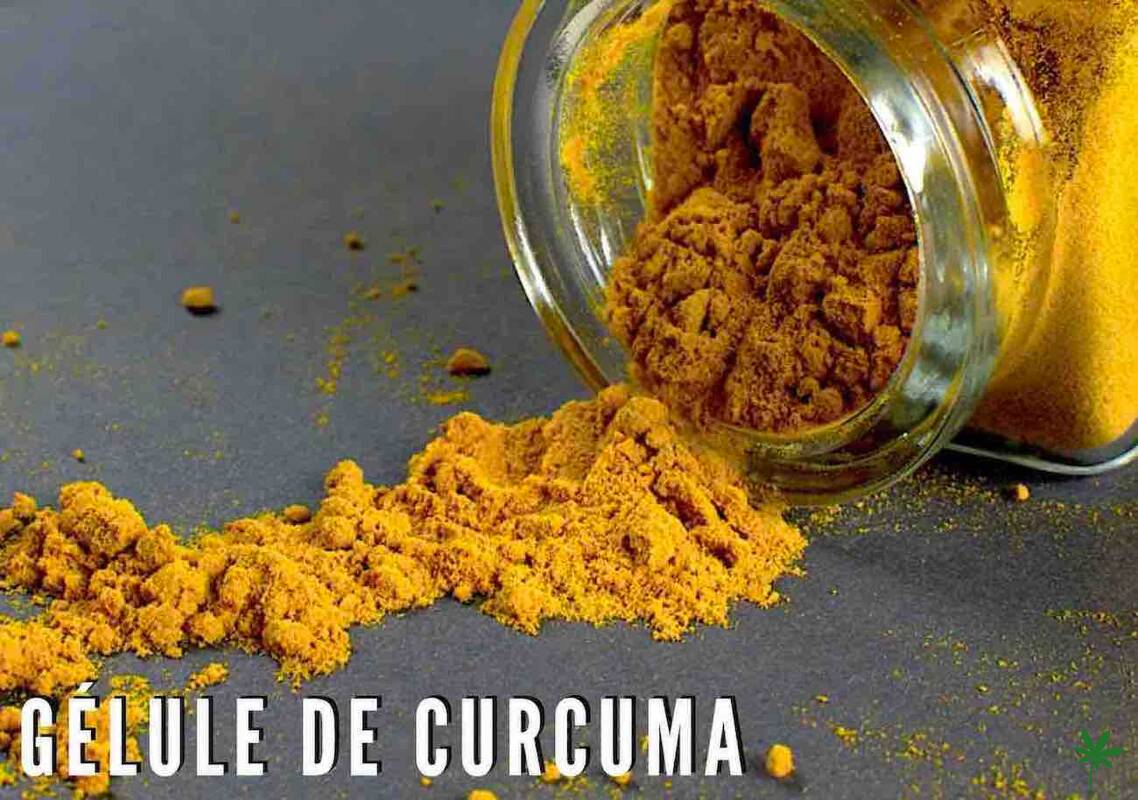 Gélules de Curcuma