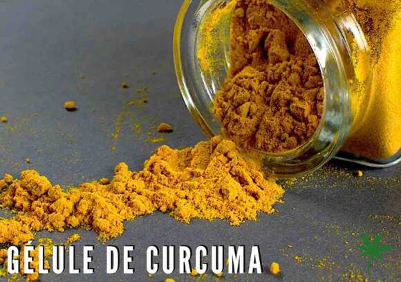 Gélules de Curcuma