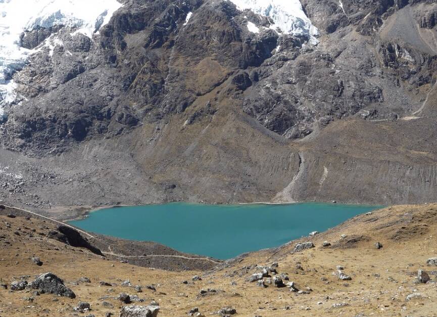 La maca