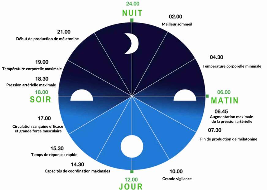 Mélatonine naturelle