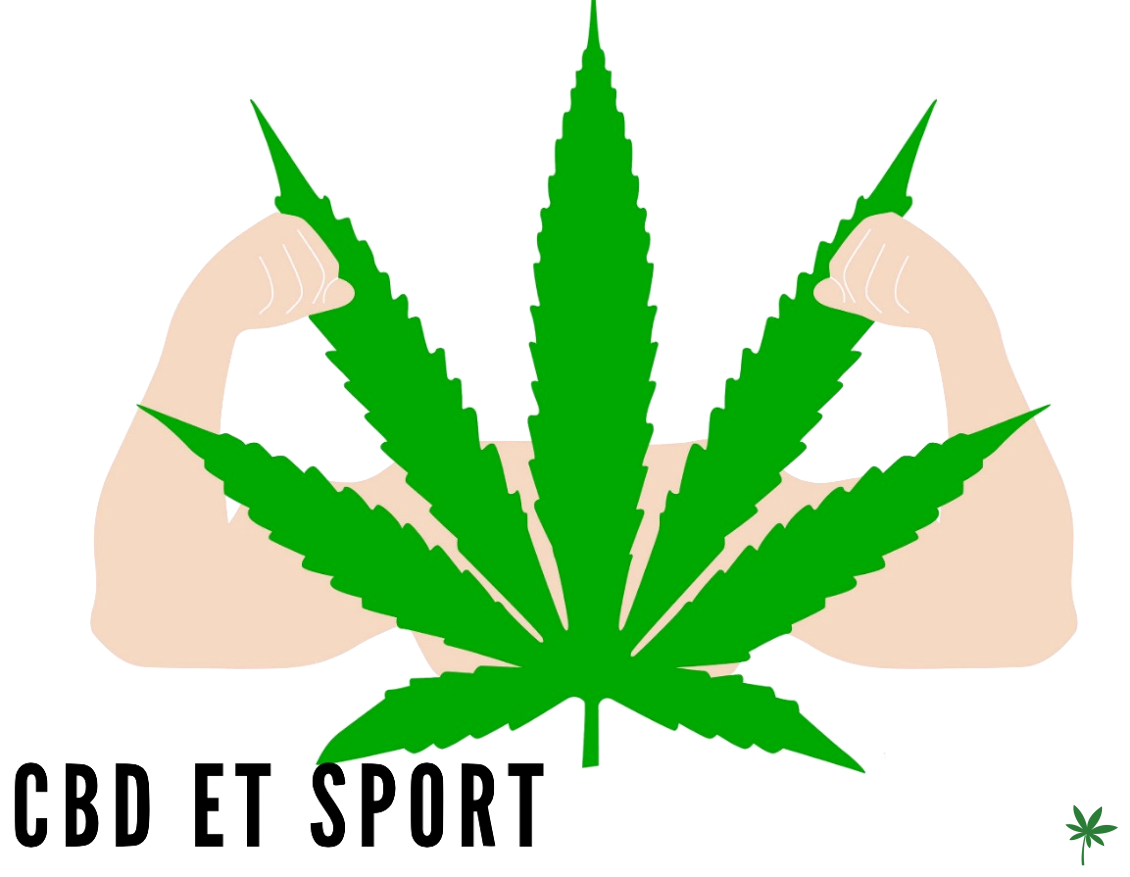 cbd pour les sportifs