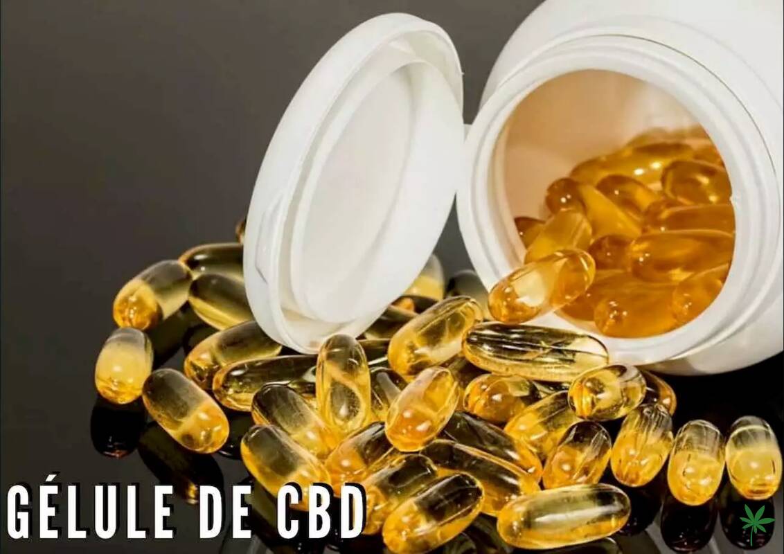 Les gélules CBD